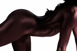 mindkontrol:  The Curve aka Musculature Svelte, seductive and ultra-sexy…chocolate skin, glowing under diffuse light, highlighting the beauty of the arched back and bare midriff; stretched invitingly, leading to the very fetching rear… 
