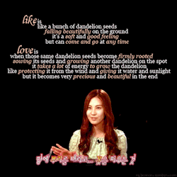 keikomon:  the difference between like and love… - seohyun she really is a lady now… :) (i put the translations from lalacakes of soompi &amp; sonems.net together so credit to them :P) 