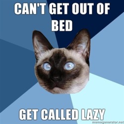 chronicillnesscat:  [Image: 6-piece blue colored background with a Siamese cat with blue eyes. Text reads: “Can’t get out of bed, get called lazy”] Words cannot describe how much this enrages me. I certainly don’t choose to spend my life sick