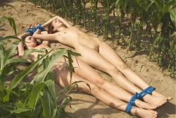 farmd0g:  Dealing with Two in a Field of Corn (for some reason) 