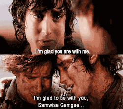therealprincessleia:   The Fellowship of the Ring Frodo: Sam… I’m glad you’re with me. The Return of the King Frodo: I’m glad to be with you, Samwise Gamgee… here at the end of all things.  For one, Elijah Wood is gorgeous with curly hair (especially
