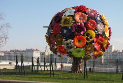 aussielicious:  agile-:  L’arbre à fleurs. Hinhin. (by Eat_Thaaat)  How could you not smile if you saw that?  It&rsquo;s In Lyon, France&hellip;