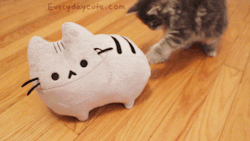 pusheen:  Today is the last day to get a Pusheen plush for 20% off! I should probably also mention they are nearly sold out… :) 