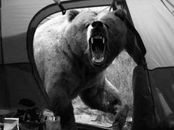   Michio Hoshino, a photographer known for his pictures of bears and other wildlife, was mauled to death by a brown bear on the Kamchatka Peninsula in eastern Russia. He was in his mid-40′s and lived in Fairbanks, Alaska. This was the last photo