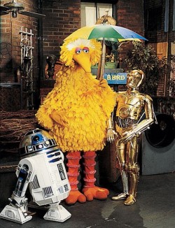 sesamestreet:  May the 4th B with you.  B, as in “Big Bird.”  All of my favorite things in one picture ;w;