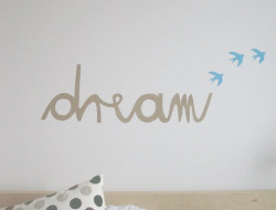   Sonhe, porque os sonhos nos trazem o que a vida nos nega.   