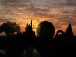 alldisney: Walt Disney World - Icons in Silhouette