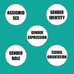 queer-core:  nullgrade:  This is a Venn diagram.    