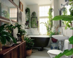 incandescen-ce:  ex-oti-c:  awklicious:  wow can this be my bathroom?  imagine having a bath there  “whew, it’s a jungle in there.” If you know where that quotes from I love you. 