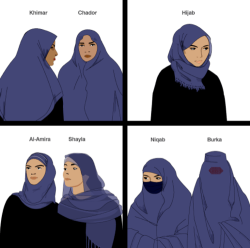 pinklikeme:  mothermal:  zerachin:  callmekitto:  akitron:  rimez:  sclez:  amandar00lz:  gtfothinspo:  pusssypower:  Love this post. I’m so sick of people calling any sort of Islamic head garment  a burqa, considering there are several that go by