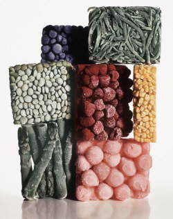 msshade:  “Frozen Foods” by Irving Penn, 1977 