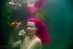As mentioned previously, I was fortunate this weekend to work with the wonderful Raven Le Faye. Since I&rsquo;m finally starting to get the hang of this whole underwater-photography-thing and she had always wanted to try, we got to work.I fell in love