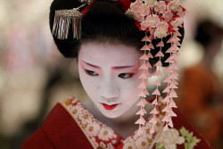 gdolly:  flower / people / portrait / face / japanese / beauty : maiko, kyoto japan / canon 7d 　日本・京都　舞妓  梅らくさん by momoyama on Flickr. 