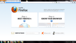 Firefox looks like another bootleg version of Google Chrome.