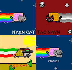 fuck-yeah-best-posts:  alltheseshapesandcolours: The different species of Nyan Cat! Click here to follow a super duper blog 