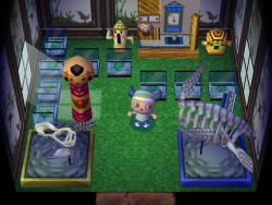 olias:  frogs are a symbol for me  i love frogs my first floor on animal crossing wii is full of frogs i should see if i can emulate gamecube games later. if i cant i should try to mod my wii to run &ldquo;backups&rdquo;, burn dobutsu no mori e+ and try