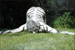 Zebra boy 2