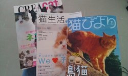 Why yes, these are three cat magazines. Full of adorable.