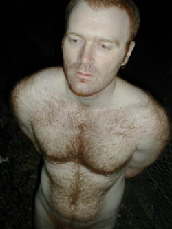 Hairy ginger.  [ #gayporn #gay #porn #ginger #hairy ]