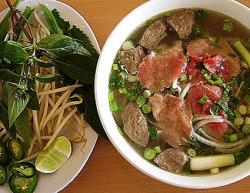 I WANT SOME MOTHER FUCKEN PHO.