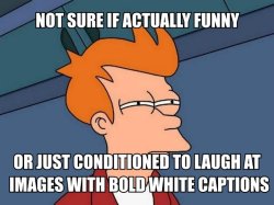 comedycentral:  Futurama Fanarama: Fry Meme 