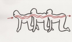 As promised on Episode 6 of the Revival, here is your diagram of the Human Centipede for those that were too squeamish to watch it. Seth