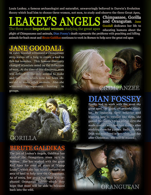 Evananimals, Leakey’s Angels - Jane Goodall, Dian Fossey