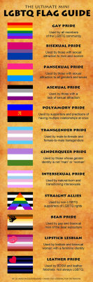 mindreadingmetalbender:  multisexual:  “Ultimate LGBTQ Flag Guide“ by ~leiandlove (deviantart) Other than the debatable definition of bisexual, this is pretty good. And the use of “lesbian and bisexual women” and “gay and bisexual men” can