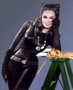 Julie Newmar.  The best Catwoman to date.  And for 1960&rsquo;s network TV, she was as close to a porn star as a kid was going to get. Ooh&hellip; kitten likes to SCRATCH!