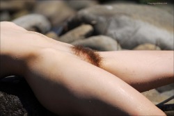 hairygirls:  Sun drenched pubes 