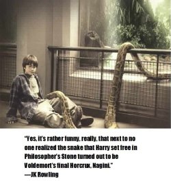 r3b3x:  OH SHIT!!   Nagini must have went through quite a transformation since Harry released her in the first book. I don&rsquo;t know of any BOA CONSTRICTOR FROM BRAZIL who could poison people like Nagini did when she attacked Arthur Weasley in Harry