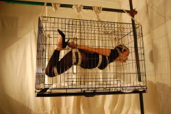 boonfark-blog:  As if a suspended Shibari hogtie in heels and a harness gag wasn’t enough – it’s also happening inside of a hanging cage.  Each independent of each other and yet inseparable.  (Oh, and there’s a girl, too.)  This might be art.
