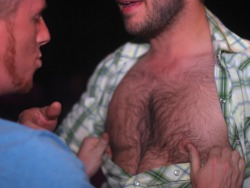 outmanned:  Frat boy knows his friend has sensitive nipples, loves ripping open his shirt and tormenting him by how helplessly turned on he gets. 