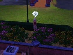 was gonna submit this to simsgonewrong but they have submissions shut down temporarily this girl has been stuck in this part of the park for months. all she does is scream that she cant move, that shes hungry, stinks up the place and reads a book idk