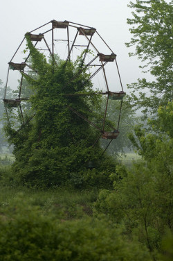 hifood-lowfood:  Abandoned Ferris Wheel by City Eyes on Flickr.  this makes me so sad