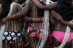 jaimorgan:  Kayapo Indians stand in a line during a ritual dance in a multiethnic village during the Meeting of Traditional Cultures of Chapada dos Veadeiros in Goias, Brazil, on July 23, 2011. The meeting is a celebration of Brazilian popular culture