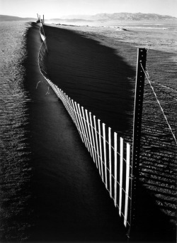 Sand Fence, Keeler, California photo by Ansel Adams, 1948  via: metmuseum