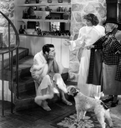superbestiario:  Bringing Up Baby starring Cary Grant and Katherine Hepburn 