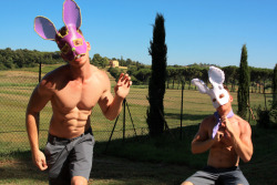 Toscana Bunnies - Tuscany, Italy - 2011 - Alexander Guerra  The Rabbit&rsquo;s that &ldquo;work&rdquo; the Vineyard :) 