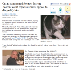 toralei:jury duty cat