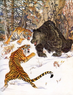 medacris:  quincourier:  by G. Pavlyshyn (Г.Павлишин)  Russian art, tigers, and bears. How can I not reblog?  Russian art, tigers and bears?Oh my! :3&lsquo;Scuse me while I hhnnggg at the details here. 