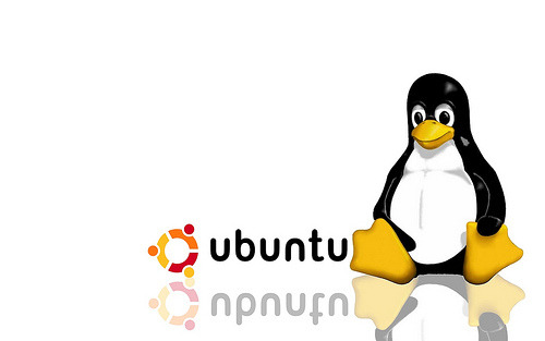 Ubuntu linux babe