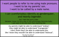 thankyouforleaving:  [Image: The genderqueer flag. Top to bottom it is striped purple, green and white. Text: “I want people to refer to me using male pronouns. I want to be my parents’ son. I want to be called by a male name.I can (comfortably)