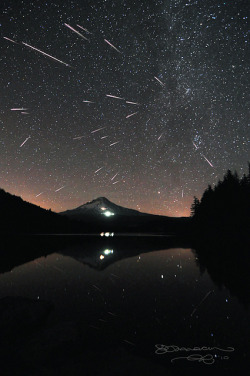 jpestrello:  Perseid Meteor Shower over Mount Hood by Gary Randall on Flickr. 
