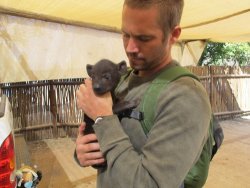 paul-walker:  Paul Walker with a baby hyena  &lt;3
