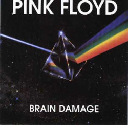 tedzarizky:  Pink Floyd Brain Damage 