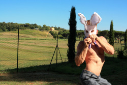  Toscana Bunnies - Tuscany, Italy 2011 - Alexander Guerra The Bunnies that “Work” the Vineyard :)  