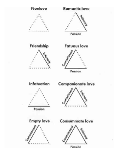 sexandpsychology:  Sternberg’s Love Theory   The triangular theory of love is a theory of love developed by psychologist Robert Sternberg. In the context of interpersonal relationships, ‘the three components of love, according to the triangular theory,