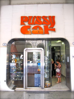 Pussy Cat - Ph. Paolo Crivellin