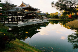 graphichavoc:  0812kyoto04 by a.k.a.manma on Flickr. Actual Byodo-inn Temple 